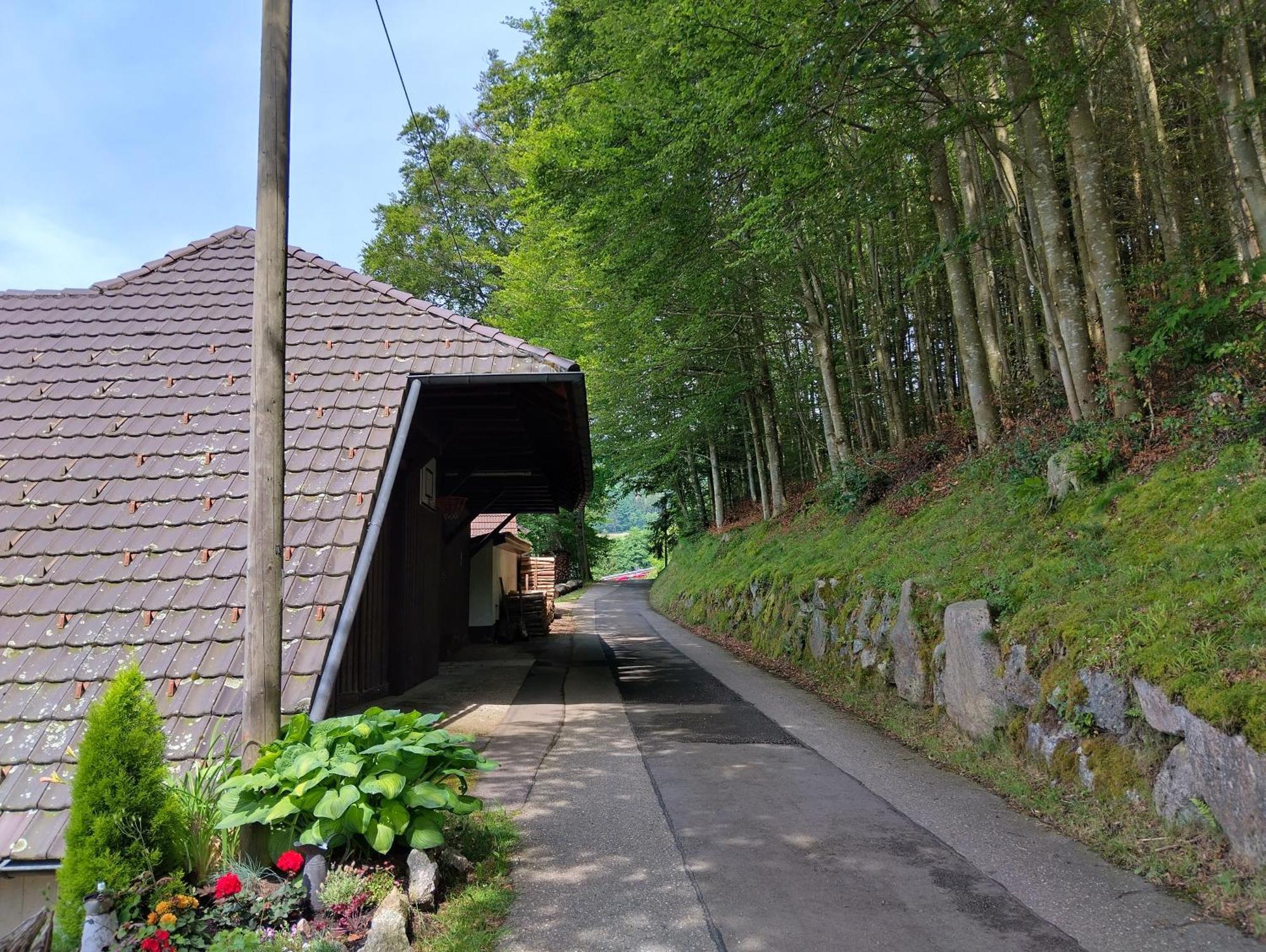 사스바흐발덴 Haus "Guck - Ins - Tal" 아파트 외부 사진