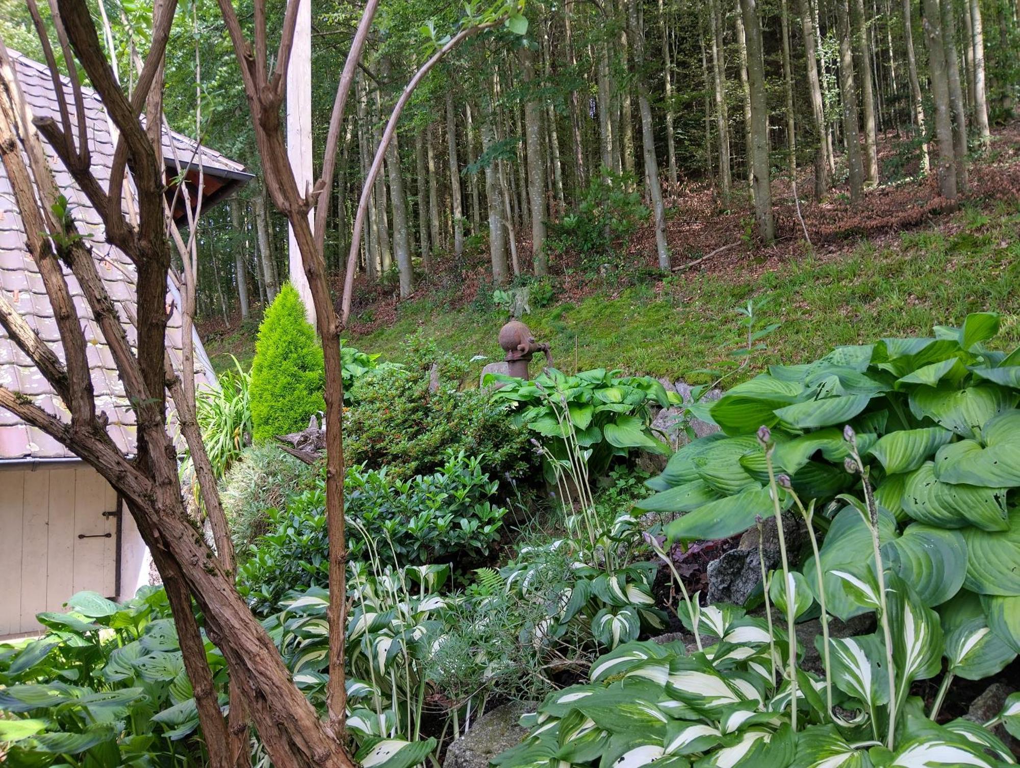 사스바흐발덴 Haus "Guck - Ins - Tal" 아파트 외부 사진